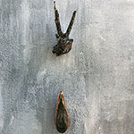 STRANDED - the shamans dream